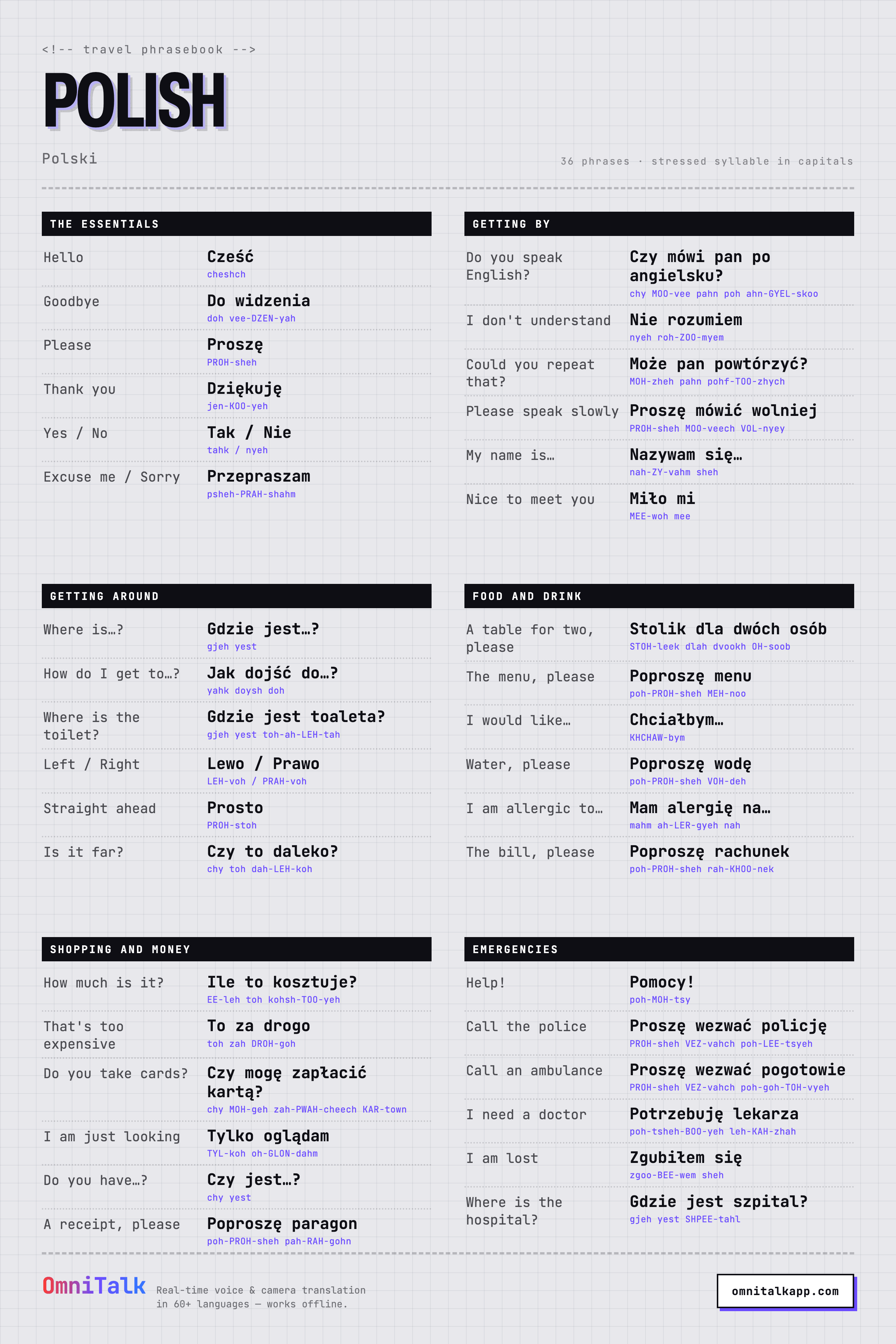 Printable Polish travel phrasebook card with 36 phrases and pronunciation