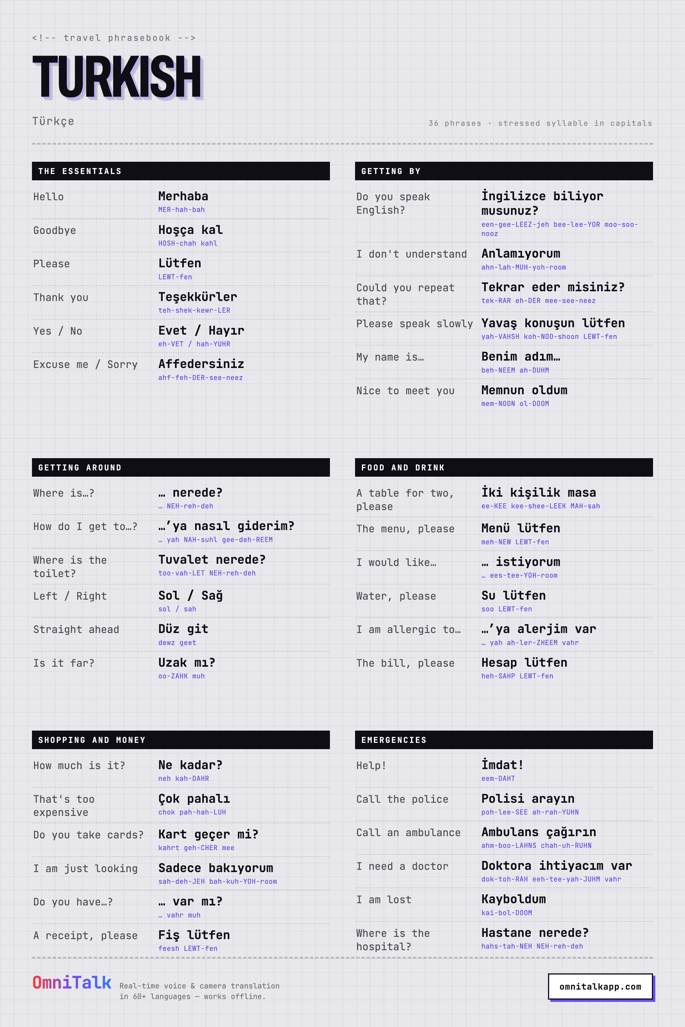 Printable Turkish travel phrasebook card with 36 phrases and pronunciation